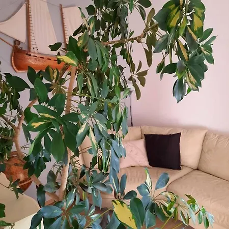 Nanut Apartament