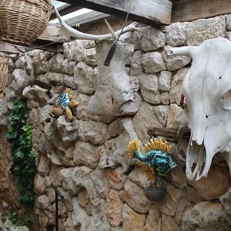 Nanut Sibenik