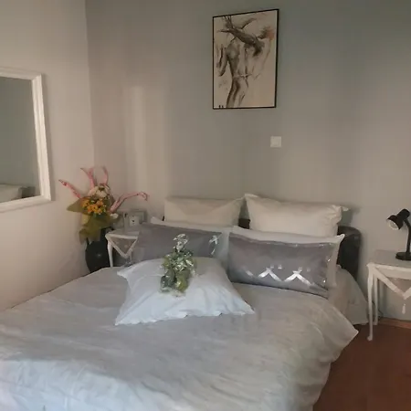 Apartment Nanut *