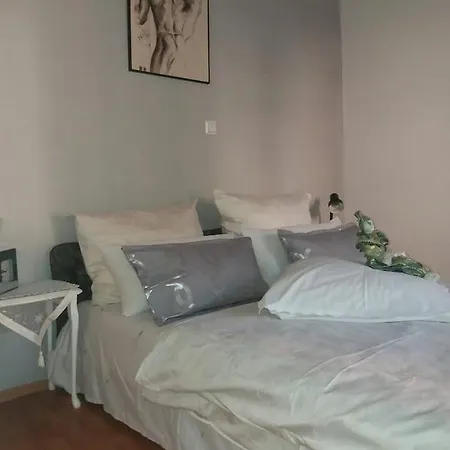 Apartment Nanut *