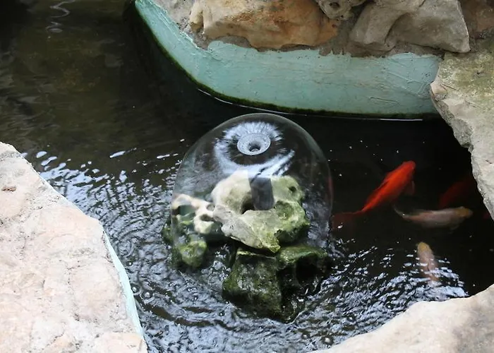 Nanut Σίμπενικ